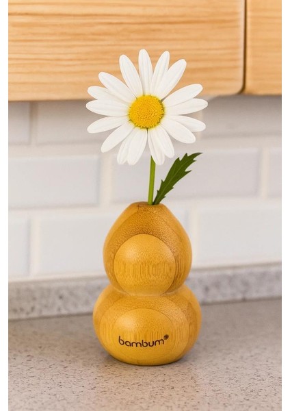 Dublin - Bambu Vazo 7,2*4,9cm fiyatları