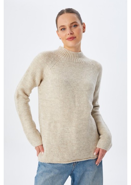 6849 Kadın Dikişsiz Dik Yaka Triko Kazak Taş fiyatları