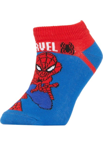 Erkek Çocuk Marvel Spiderman Pamuklu 3'lü Patik Çorap X2345A6NS