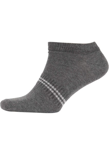 Erkek 5'li Pamuklu Patik Çorap Z7300AZNS