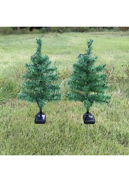 Solar Dekoratif Çam Ağacı