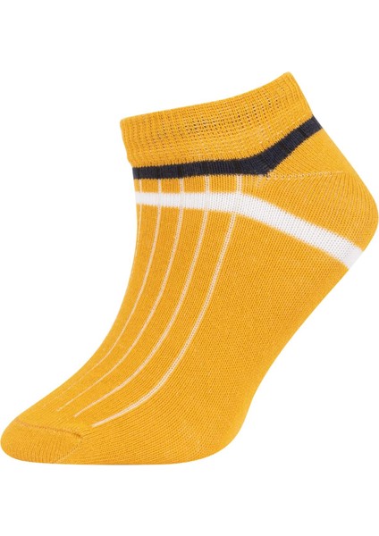 Erkek Çocuk 5'li Pamuklu Patik Çorap