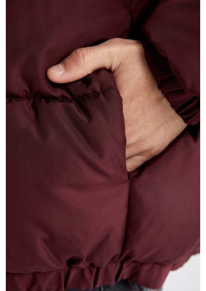 Fermuarlı Çıtçıtlı Cepli Dik Yaka Şişme Mont A2519AX23WN