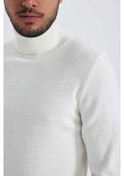 Slim Fit Dar Kesim Balıkçı Yaka Basic Düz Triko Kazak R1124AZ23WN