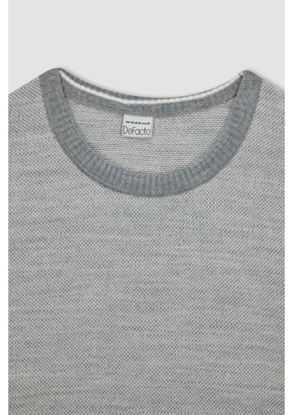 Standart Fit Normal Kesim Bisiklet Yaka Triko Kazak R1110AZ23WN