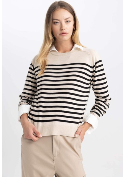 Regular Fit Çizgili Bisiklet Yaka Basic Düz Triko Kazak Z1317AZ23WN