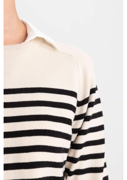 Regular Fit Çizgili Bisiklet Yaka Basic Düz Triko Kazak Z1317AZ23WN