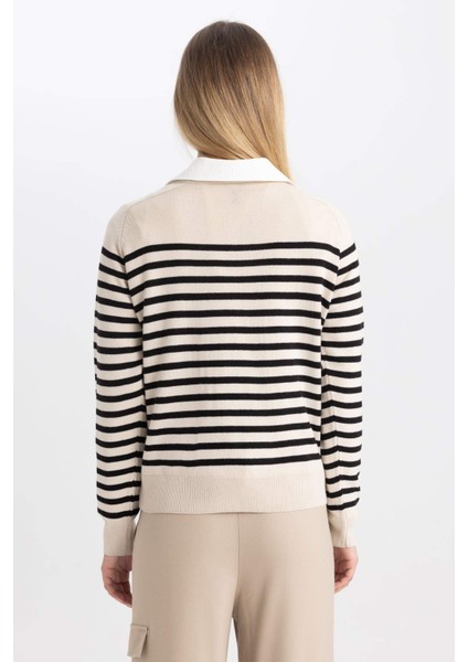 Regular Fit Çizgili Bisiklet Yaka Basic Düz Triko Kazak Z1317AZ23WN