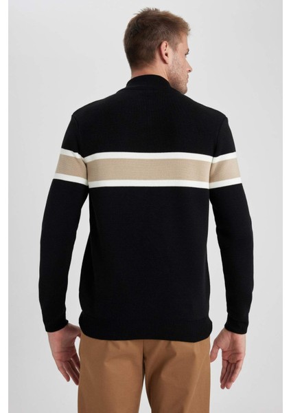 Standart Fit Normal Kesim Dik Yaka Fermuarlı Çizgili Triko Kazak Y4193AZ23WN