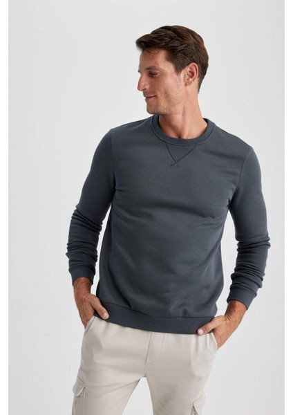 Regular Fit Bisiklet Yaka Kalın Basic Düz Sweatshirt T3777AZ23AU