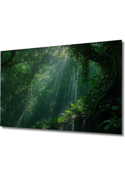 Tropikal Orman Rüyası Yağlı Boya Görünümlü Dekoratif Ahşap Ev/işyeri/ofis Kare Tablo fiyatları