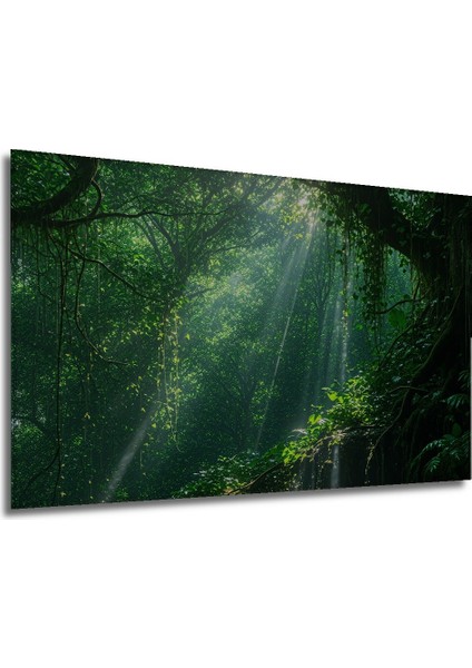 Tropikal Orman Rüyası Yağlı Boya Görünümlü Dekoratif Ahşap Ev/işyeri/ofis Kare Tablo modelleri