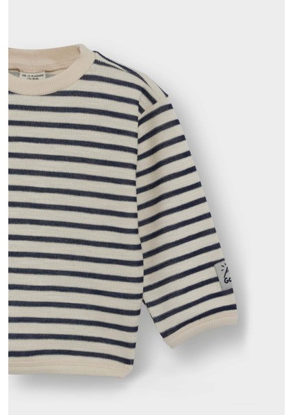 Erkek Bebek Bisiklet Yaka Çizgili Sweatshirt F7587A525WN fiyatları