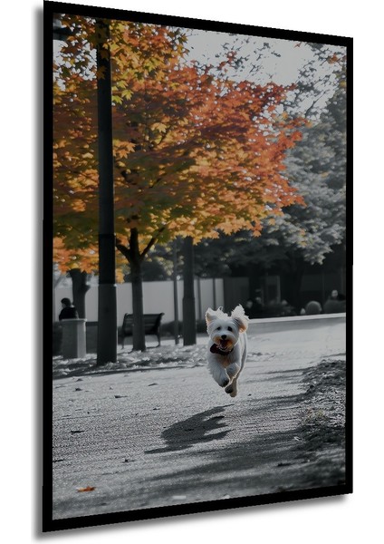 Çerçeve Görünümlü Sonbahar Neşesi Koşan Köpek Yağlı Boya Görünümlü Dekoratif Ahşap Ofis Kare Tablo modelleri