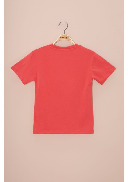 Kiremit Araba Baskılı Nakış Detaylı Erkek Çocuk Bisiklet Yaka Tişört 20954 modelleri