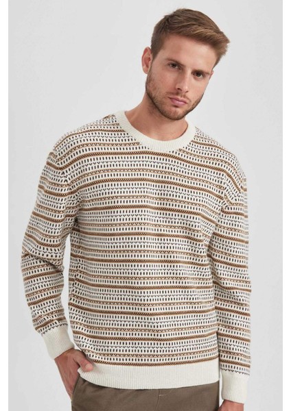 Standart Fit Normal Kesim Desenli Bisiklet Yaka Triko Kazak B1448AX23WN