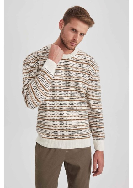 Standart Fit Normal Kesim Desenli Bisiklet Yaka Triko Kazak B1448AX23WN