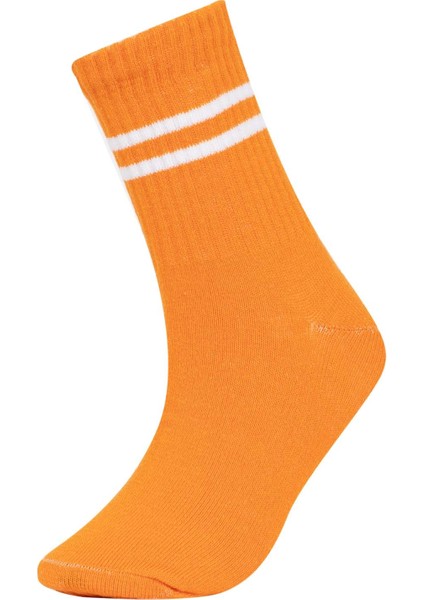 Erkek Çocuk 5'li Pamuklu Uzun Çorap A6666A8NS