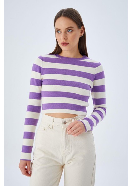 6644 Kadın Bisiklet Yaka Çizgili Kazak Lila fiyatları