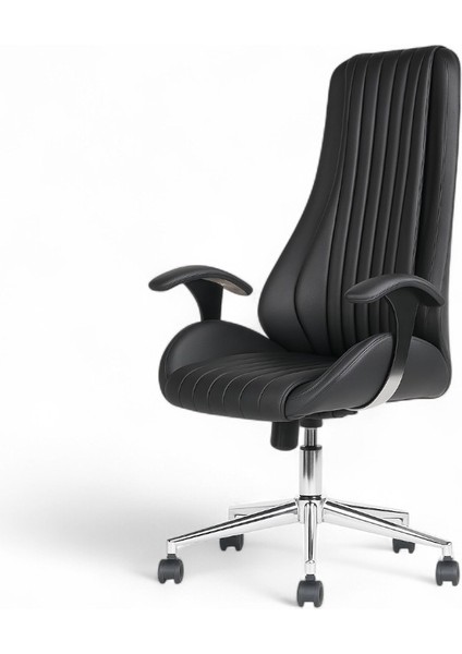 Kpt Plus Makam Koltuğu Yönetici Koltuğu