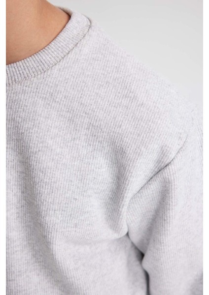 Erkek Çocuk Bisiklet Yaka Selanik Kumaş Basic Düz Sweatshirt B5308A823WN
