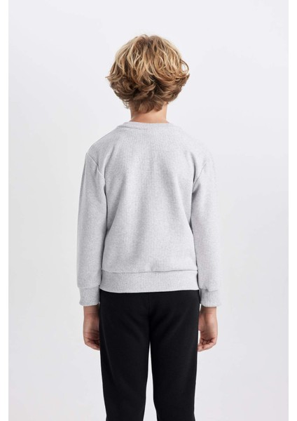 Erkek Çocuk Bisiklet Yaka Selanik Kumaş Basic Düz Sweatshirt B5308A823WN