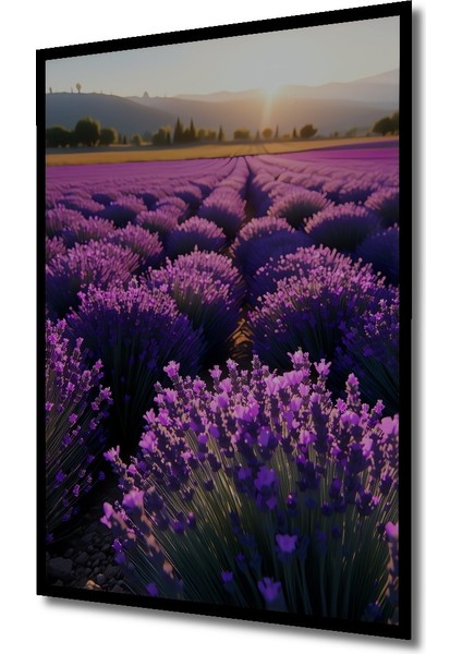 Çerçeve Görünümlü Lavanta Tarlası Rüya Manzarası Yağlı Boya Görünümlü Ahşap Ofis Kare Tablo fiyatları