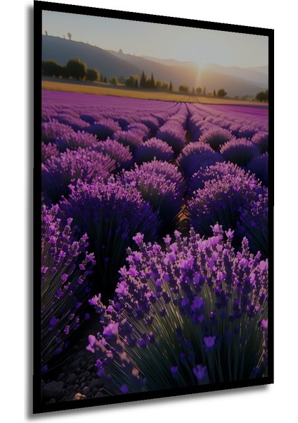 Çerçeve Görünümlü Lavanta Tarlası Rüya Manzarası Yağlı Boya Görünümlü Ahşap Ofis Kare Tablo modelleri