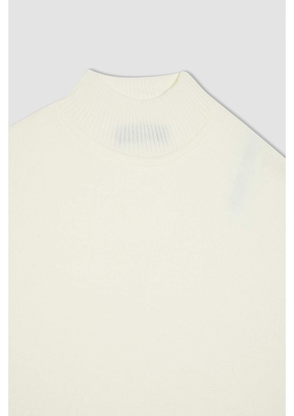 Regular Fit Bisiklet Yaka Uzun Süveter B6441AX23AU