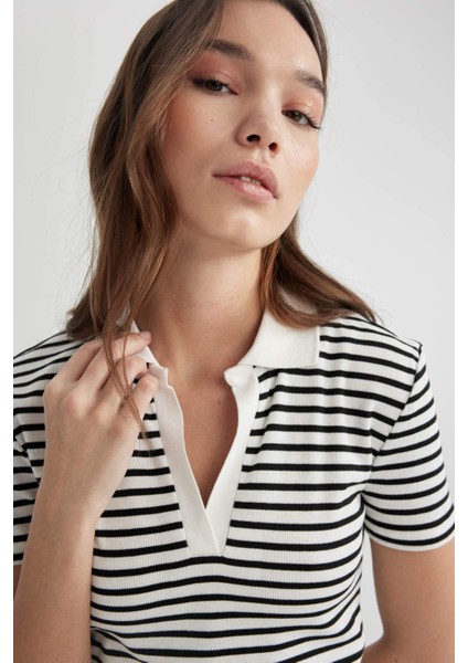 Fitted Çizgili Polo Yaka Kısa Kollu Tişört A0380AX24SM