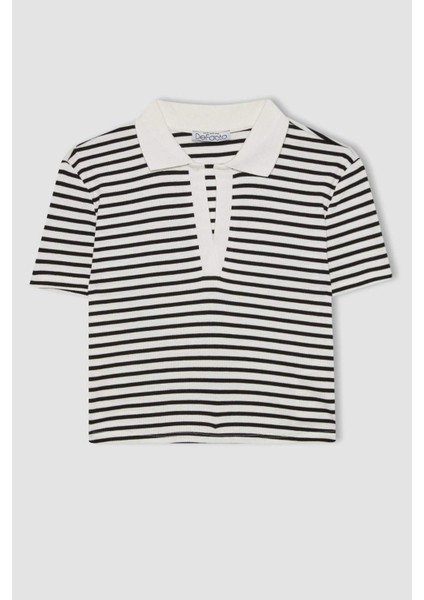 Fitted Çizgili Polo Yaka Kısa Kollu Tişört A0380AX24SM