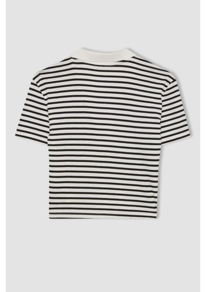 Fitted Çizgili Polo Yaka Kısa Kollu Tişört A0380AX24SM