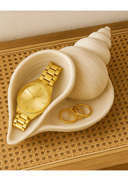 Deniz Kabuğu Formlu Takı ve Aksesuar Düzenleyici