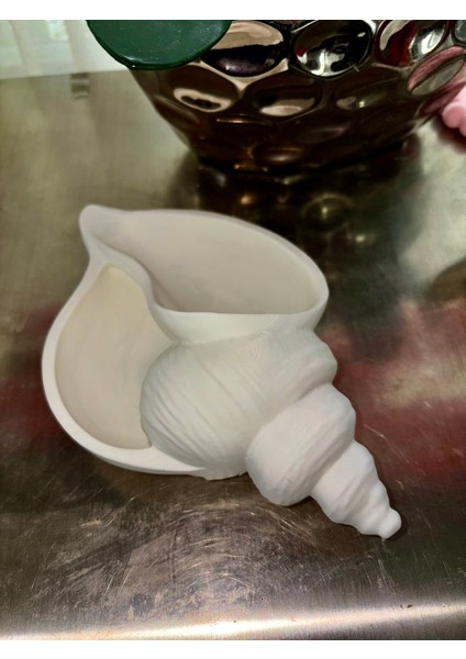 Deniz Kabuğu Formlu Takı ve Aksesuar Düzenleyici fiyatları