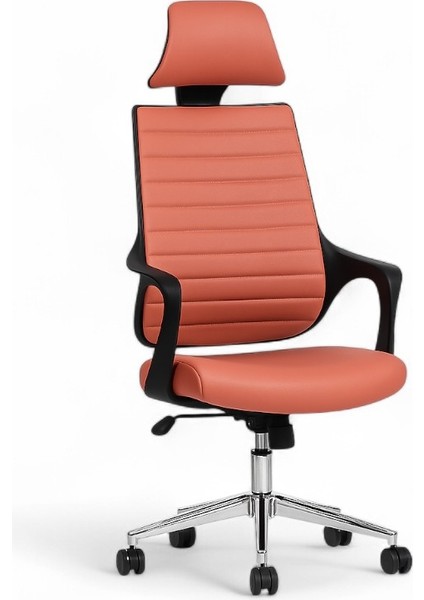 Vinasa Yönetici Koltuğu