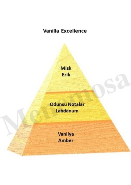 Vanilla Excellen+ Vanilla Excellen Unisex Parfüm Edp Oriental - Mnmsvex2 fiyatları