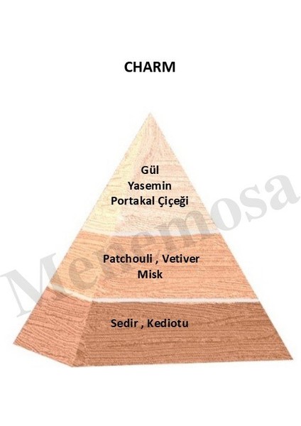 Charm + Charm Unisex Parfüm Edp Floral - Mnmschrm2 fiyatları