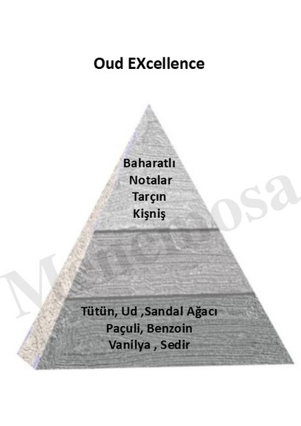 Oud Exc + Oud Exc Unısex Parfüm Edp Woody - Mnmsoudx2 fiyatları