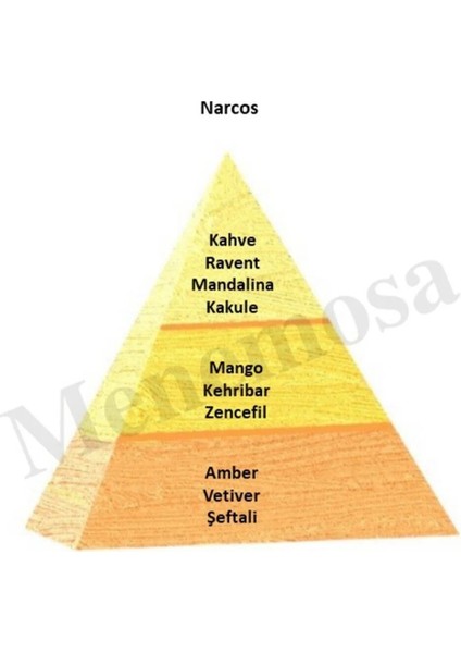 Unisex Parfüm Edp Oriental - Mnmsnrs2 fiyatları