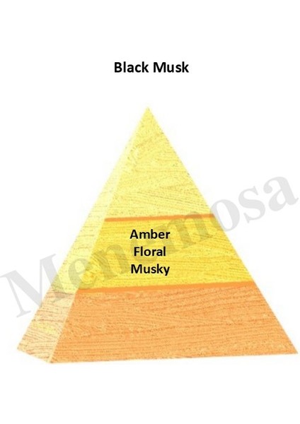 Black Musk + Black Musk Unisex Parfüm Edp Oriental - Mnmsblm2 fiyatları