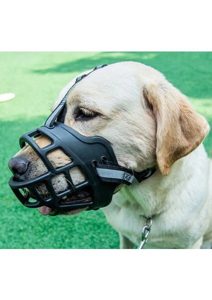 Köpek Ağızlık Taqtu Ayarlanabilir modelleri