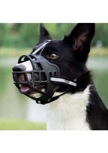Köpek Ağızlık Taqtu Ayarlanabilir fırsatları