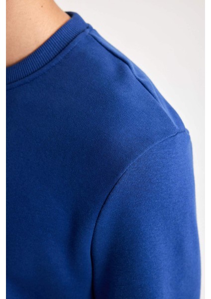 Regular Fit Bisiklet Yaka Sweatshirt B7833AXNS