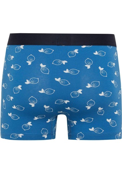 Regular Fit 3'lü Boxer Y3179AZ24SM