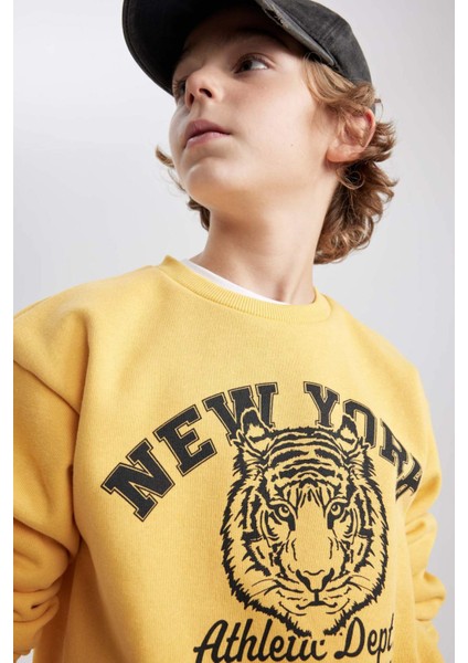 Erkek Çocuk Sarı Regular Fit Düz Kesim Basic Düz Kapüşonlu Sweatshirt B7822A8NS