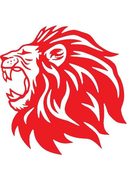 Aslan Tasarımlı Sticker Tip 2 Sticker 10 x 10 cm fiyatları
