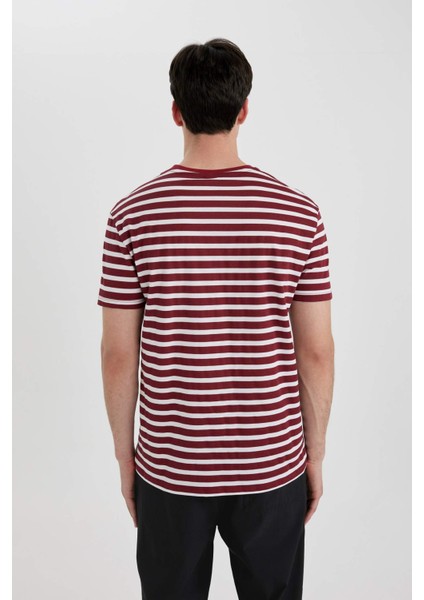 Regular Fit Bisiklet Yaka Çizgili Kısa Kollu Üst B8684AX24SP