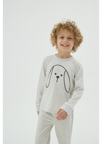 Erkek Çocuk Uzun Kol Gri Melanj Desenli Pijama Takımı C1T6N98 modelleri