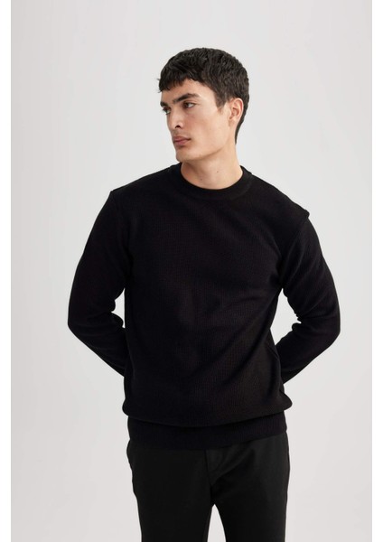 Standart Fit Normal Kesim Bisiklet Yaka Muline Desenli Triko Kazak A5181AX24SP