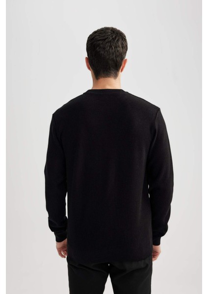 Standart Fit Normal Kesim Bisiklet Yaka Muline Desenli Triko Kazak A5181AX24SP